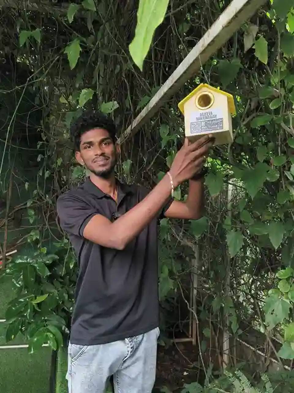 Bird House