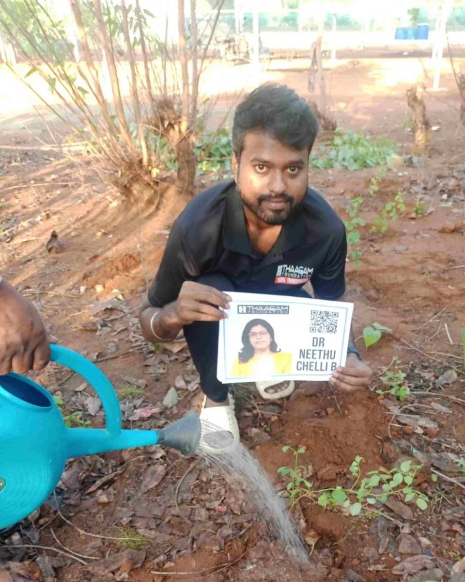 Plant a Tree