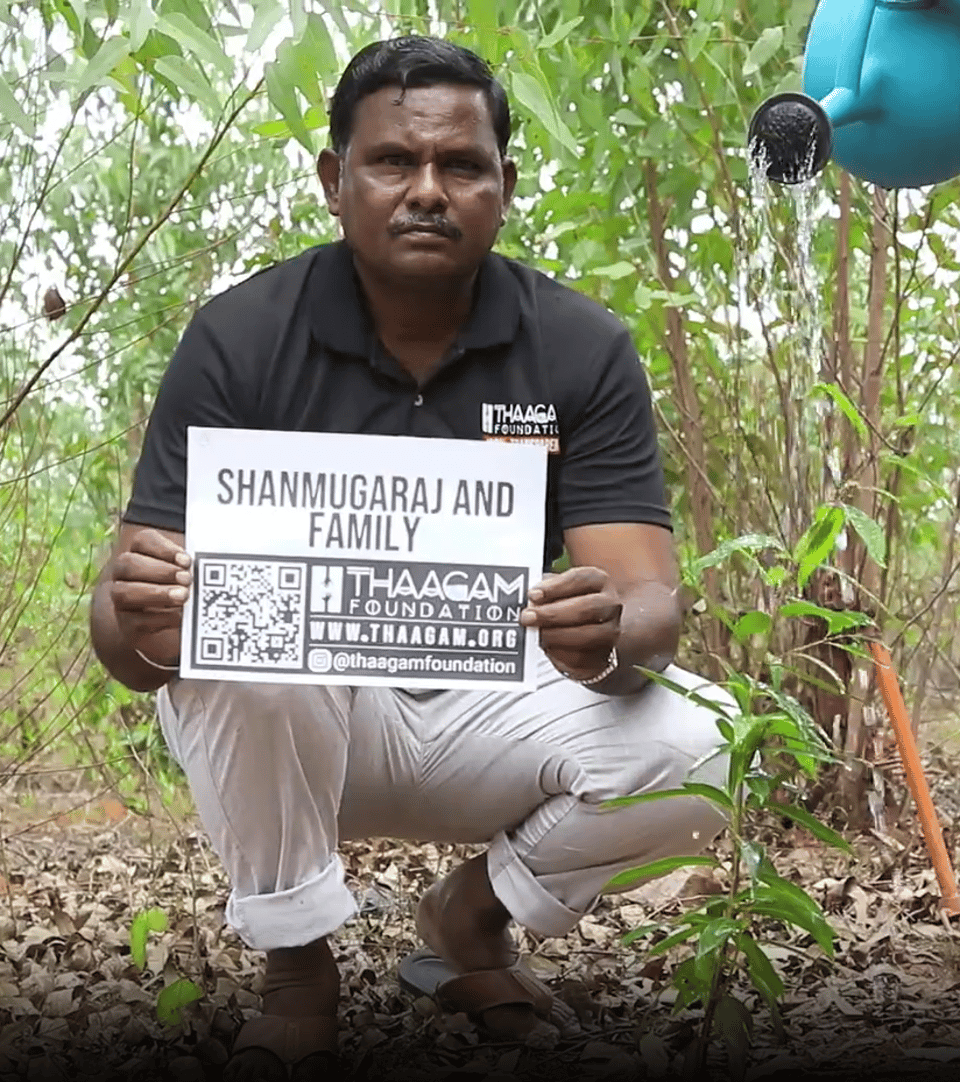 Plant a Tree
