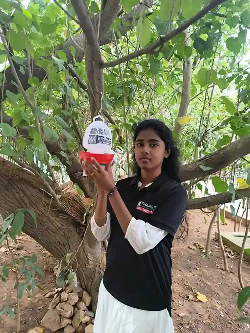 Water Bowl For Birds