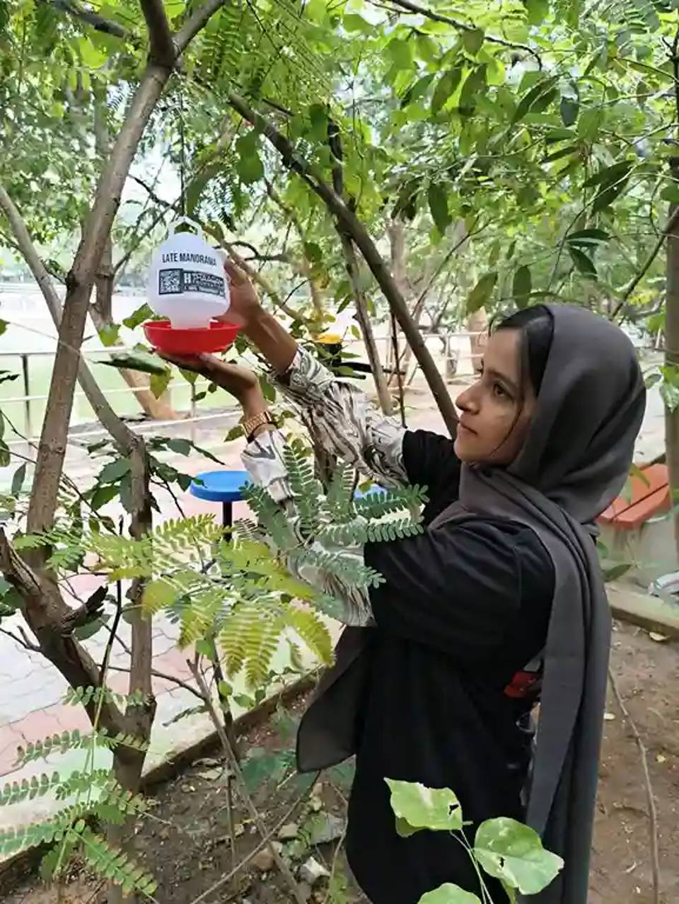 Water Bowl For Birds